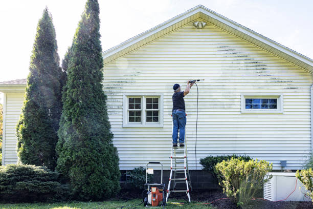 Best Deck Cleaning Services  in New Concord, OH